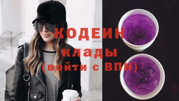 молекула духа Богданович