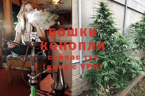 МДПВ Белокуриха