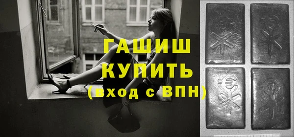молекула духа Богданович