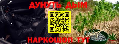 мяу мяу мука Берёзовский