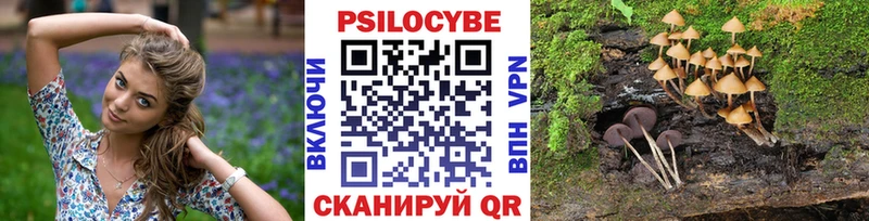 Галлюциногенные грибы прущие грибы  хочу наркоту  Гусев 