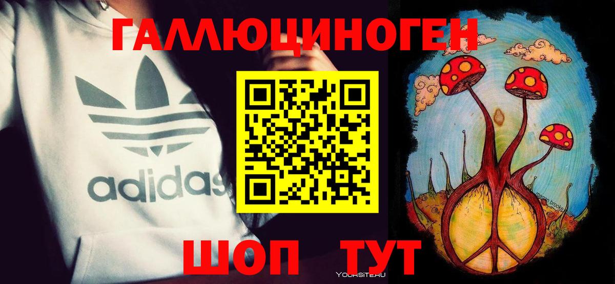 А ПВП Гусев