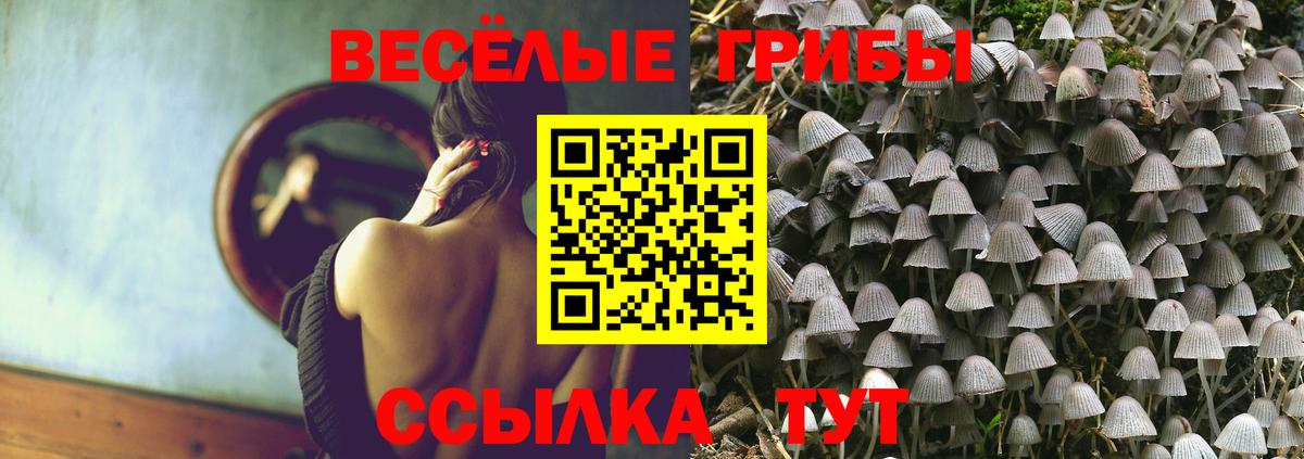 Псилоцибиновые грибы мицелий  Псилоцибиновые грибы мухоморы  Гусев  Вход с VPN 