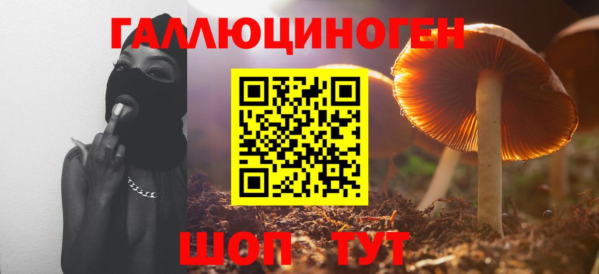 Галлюциногенные грибы мухоморы Гусев