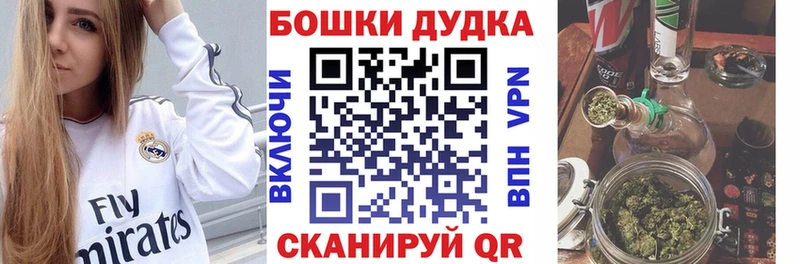 Бошки Шишки ГИДРОПОН  Гусев 